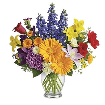 Petal Radiance Bliss