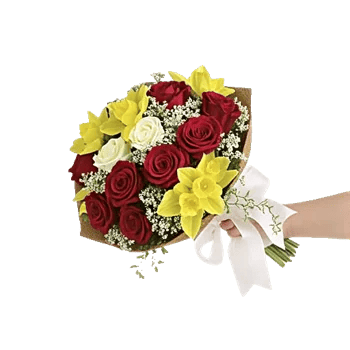 Crimson Rose Elegance