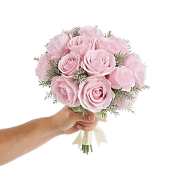 Pastel Pink Roses