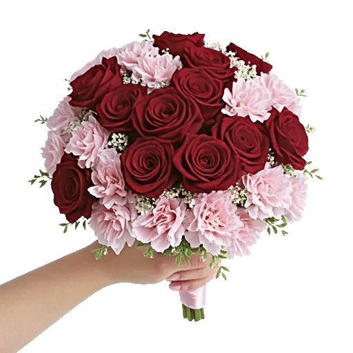 Crimson Rose Elegance