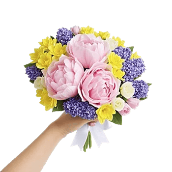Peony Petal Harmony