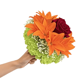 Delicate Petal Cascade