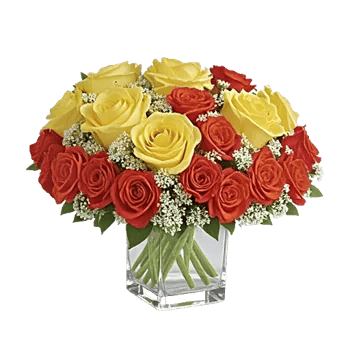 Radiant Rose Symphony