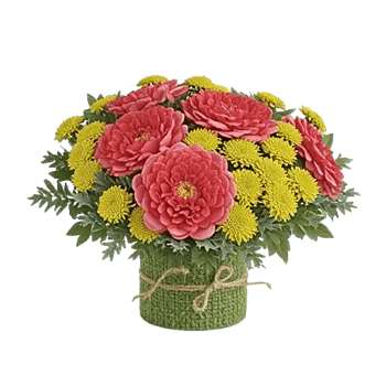 Coral Blossom Harmony