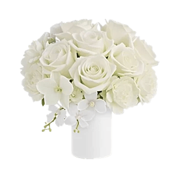 Ivory Blossom Radiance