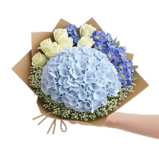 Serene Petal Harmony