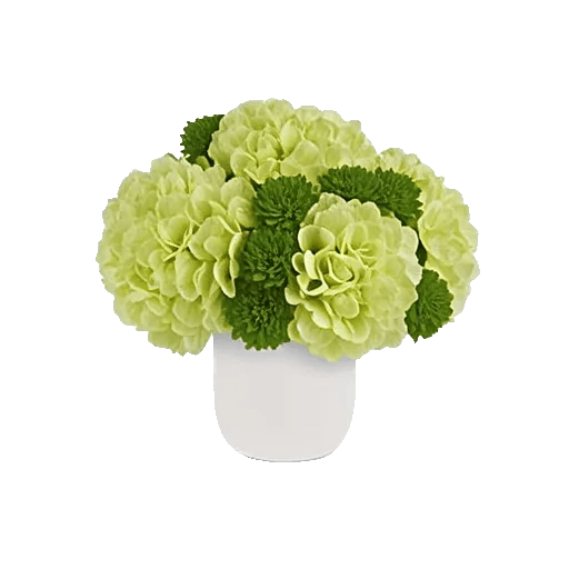 Emerald Bloom Cascade