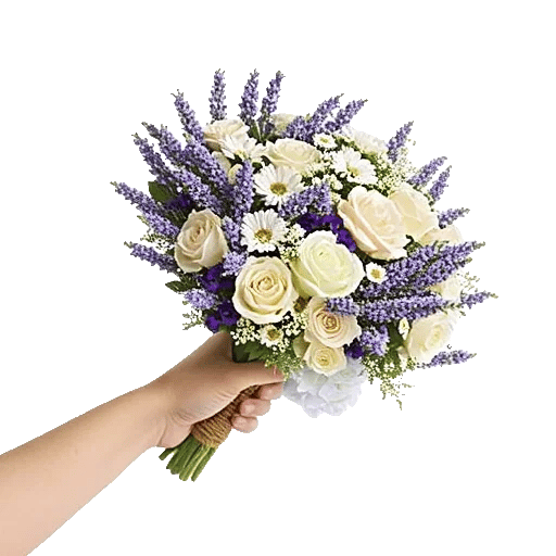 Serene Petal Harmony