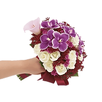 Elegant Calla Lilies