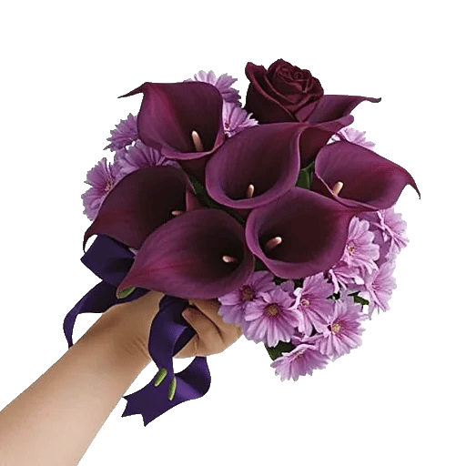 Elegant Calla Lilies