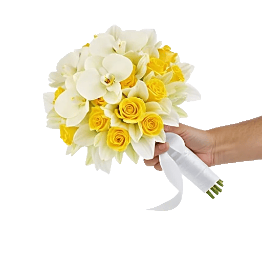 Modern White Orchids