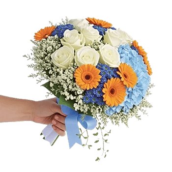 Serene Petal Harmony