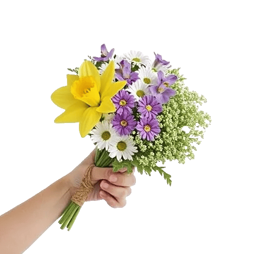 Blossom Harmony Display