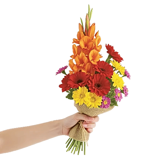 Blossom Glow Symphony