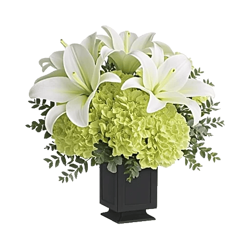 Ivory Blossom Radiance