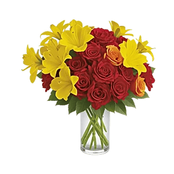 Petal Radiance Bliss