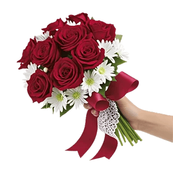 Crimson Rose Elegance