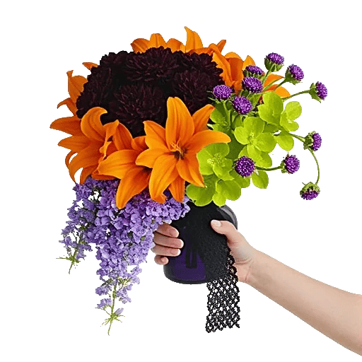 Modern White Orchids