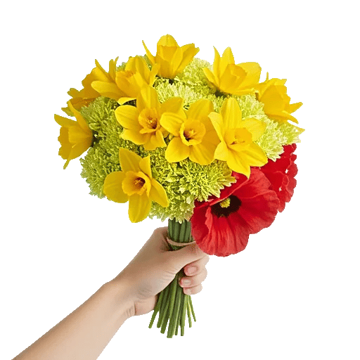 Blossom Harmony Display