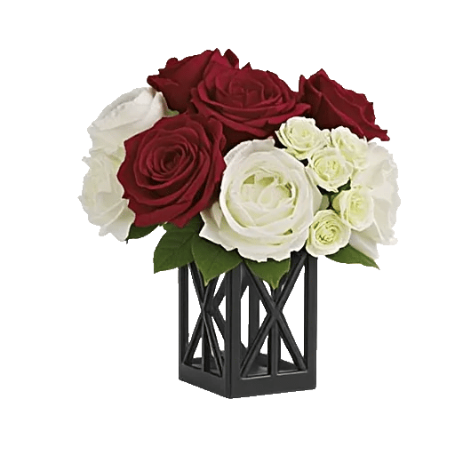 Petal Radiance Bliss