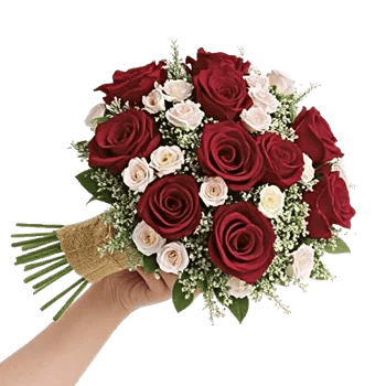 Crimson Rose Elegance