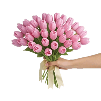 Blossom Harmony Display