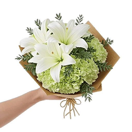 Ivory Garden Grace