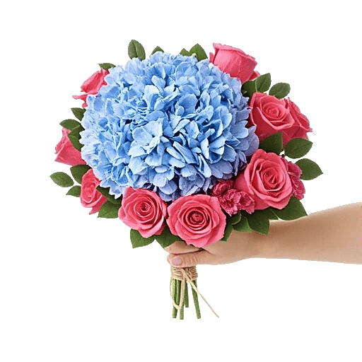 Serene Petal Harmony