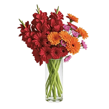 Petal Radiance Bliss