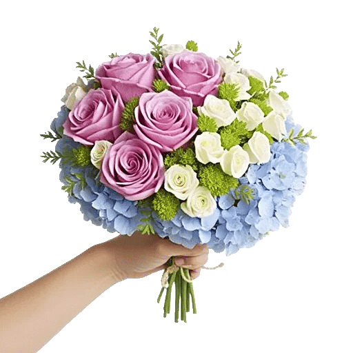 Serene Petal Harmony