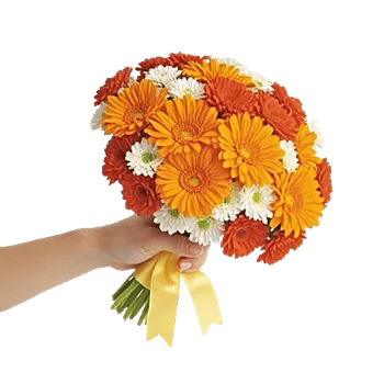 Vibrant Orange Delight