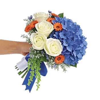 Serene Petal Harmony