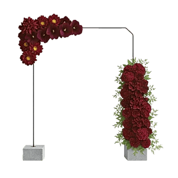 Elegant Calla Lilies