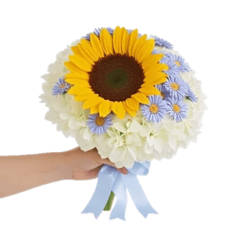 Twinkling Sunflower Dance