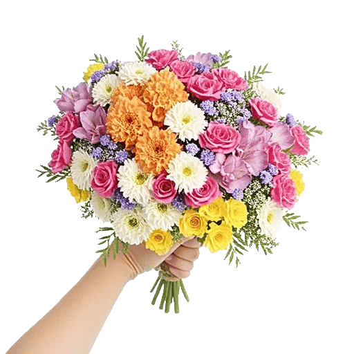 Petal Grace Harmony