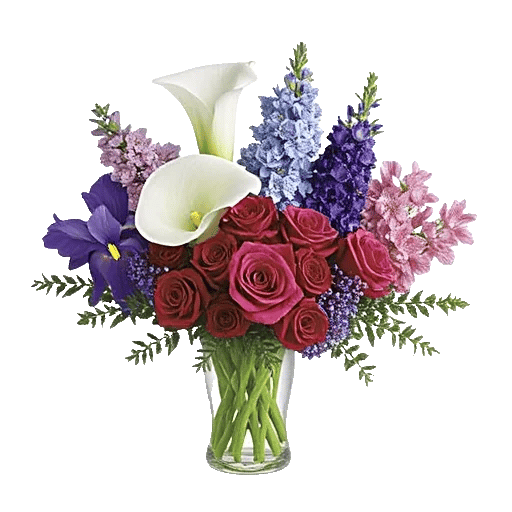 Elegant Calla Lilies