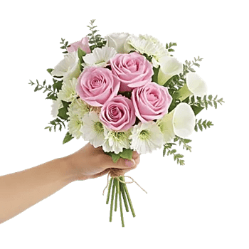 Pastel Pink Roses