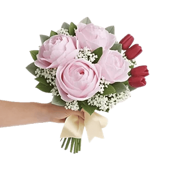 Peony Petal Harmony