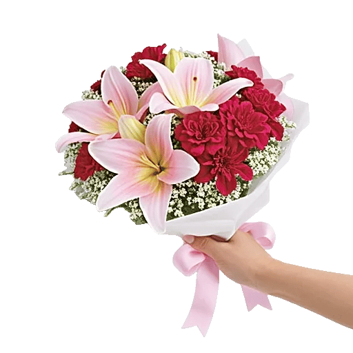 Blushing Rose Symphony