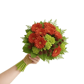 Delicate Petal Cascade