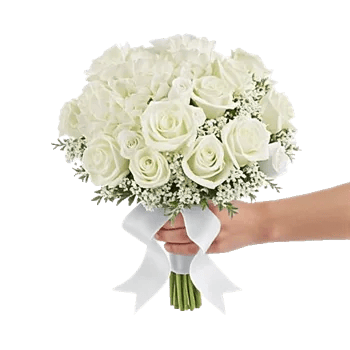 Serene Petal Harmony