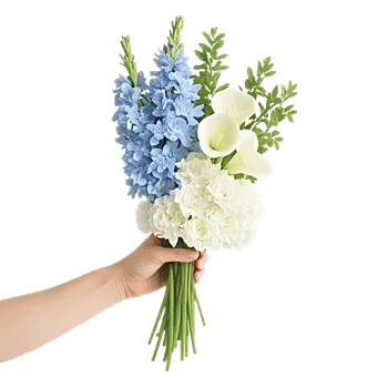 Serenity Blossom Grace