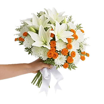 Graceful Lily Display