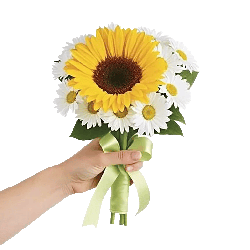 Twinkling Sunflower Dance