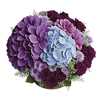 Sapphire Bloom Whisper