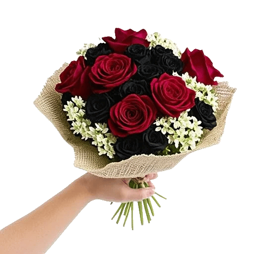 Crimson Rose Elegance