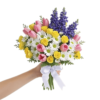 Blossom Harmony Display