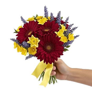 Crimson Blossom Harmony