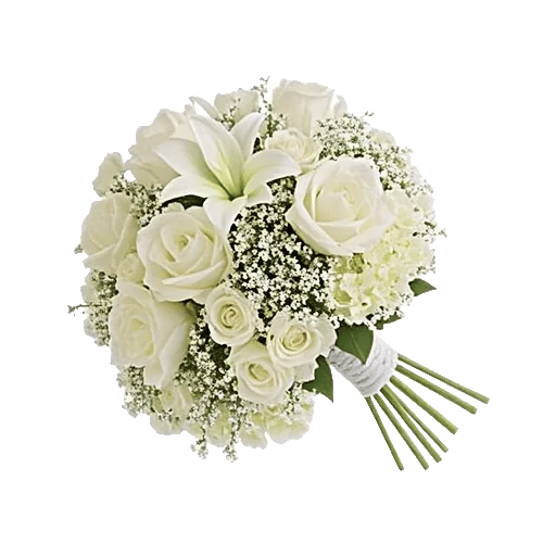 Ivory Garden Grace