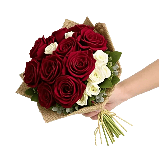 Crimson Rose Elegance